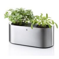 WMF Ambient Herbs
